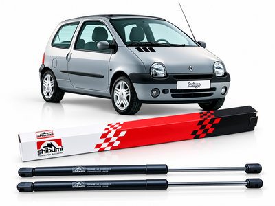 Dos Amortiguadores de Quinta Puerta Renault Twingo | Shibumi